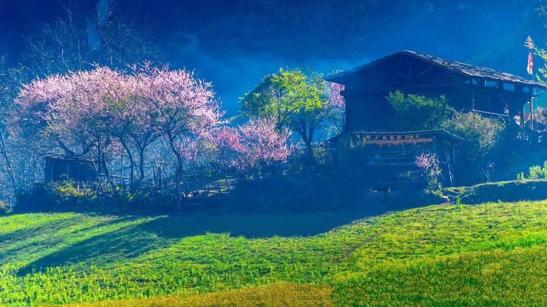 次元喵